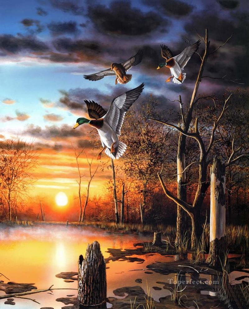 Anas platyrhynchos in Sonnenuntergang Szenen Vögel Ölgemälde